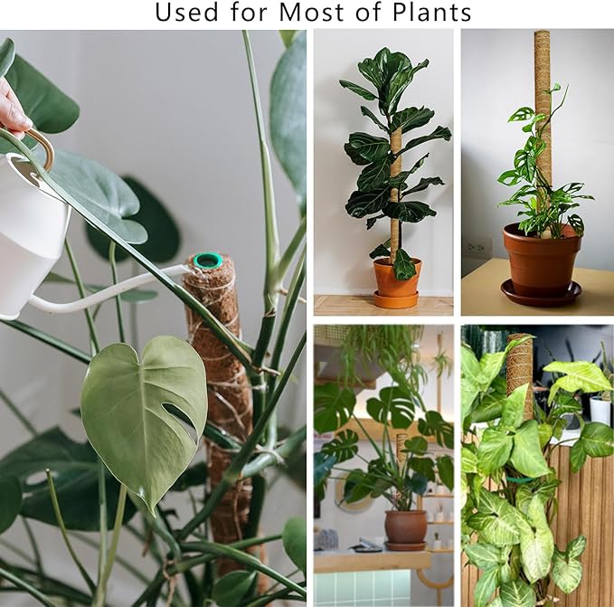 Moss Pole, 53.5 Inch Monstera Plant Support, Moss Sticks for Indoor Plants Climbing Coco Coir Pole, 4 Pack 17 Inch Stackable Moss Pole for Plants