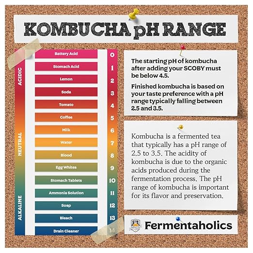 Fermentaholics Kombucha & Fermentation pH Test Strips – Instant Read pH Strips Dispenser for Brewing & Fermentation, pH Range 0–6 (pH Roll Dispenser)