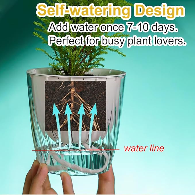 2 Pack 6 Inch Self Watering Pots for Indoor Plants, Self Watering Planter with Reservoir and Wick Rope, Clear Flower Plant Pots for African Violets,Succulents,Herbs,Cactus,Orchids
