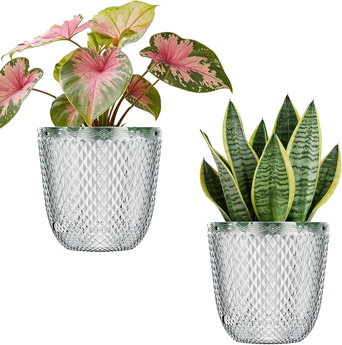 QCQHDU 2 Pack Self Watering Pots, 7.2 Inch Flower Pots with Drainage Holes and Water Filling Port, Garden Planter for Indoor Outdoor Plants (Clear)