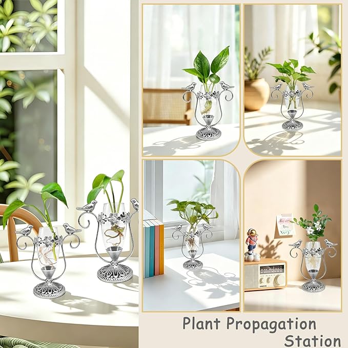 Vintage Plant Propagation Station, Hummingbird Metal Glass Plant Terrarium Stand, Office Desk Room Unique Flower Vase, Plant Lovers Gift Ideas for Women, Men (Silver)