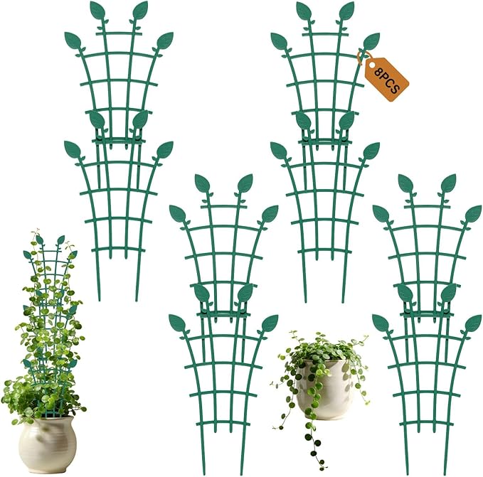 Trellis for Potted Plants (12)