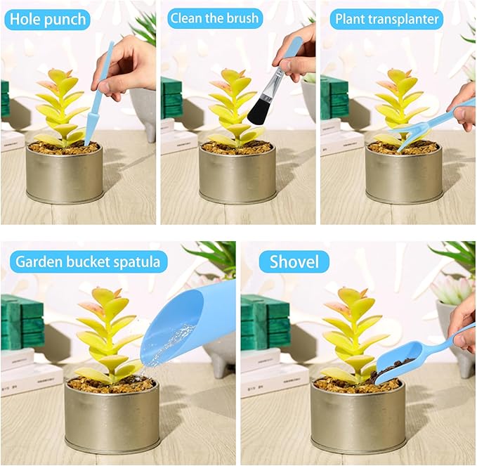 Mini Succulent Tools, 5Pc Succulent Planting Tools Kit for Indoor Planting, Succulent Gardening Tools for Digging, 2 Colors Shovel Scoop Bucket Spoon Brush Outdoor Plant Care (Blue)
