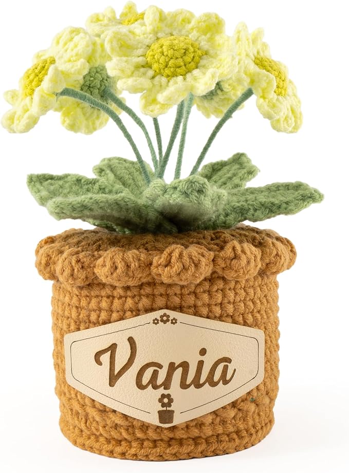 Crochet Flowers with Personalized Leather Name Tag Handmade Knitted Flowers for Home Office Desk Decor Crochet Daisy Potted Plant Crochet Gift for Women,Mom,Teacher, Friend, Birthday(Green)