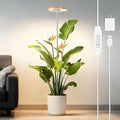 SDOVUERC Full‑Spectrum Grow Lights for Indoor Plants – Adjustable Height Plant Lamp with Wood‑Grain Finish, 6/12/18H Timer, 3 Color Modes, Perfect Plant Lights for Indoor Growing.(Pack 1)