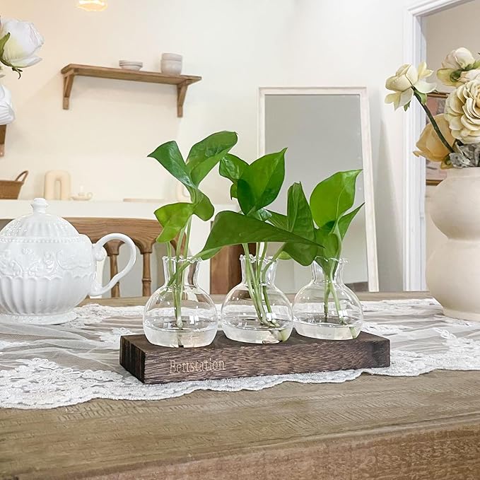 Plant Propagation Station, Plants Terrarium with Wooden Stand Bulb Glass Vase Planter Gift for Plant Lovers Home Office Decor