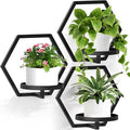 3 Packs Wall Planters for Indoor Plants, 7.9inch Metal Wall Plant Holder Hanger Wall Decor, Wall-Mounted Hanging Planters Window Plant Shelves Outdoor(Black)