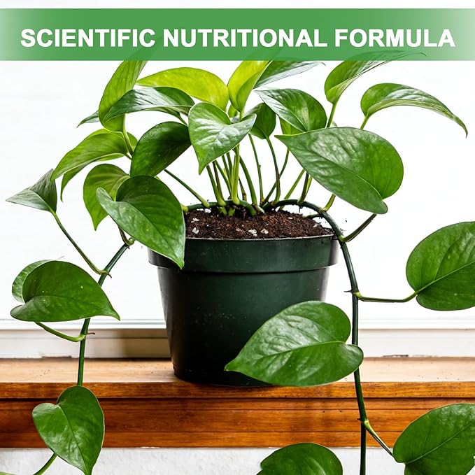 Pothos Potting Soil -Pure Natural Organic Soil 10qt, Well-Draining and Aerated for Healthy Indoor Plants
