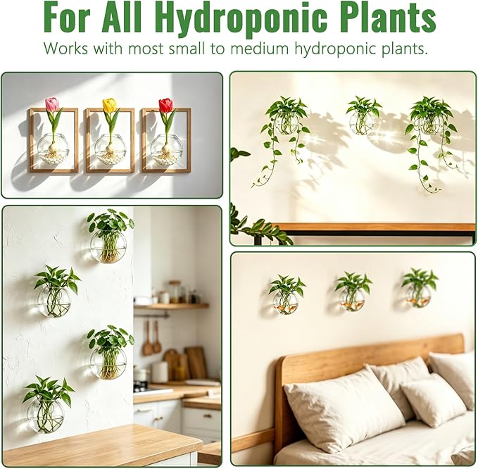 NUPTIO Wall Hanging Planters Terrarium: 4Pcs Clear Glass Wall-Mounted Vases for Indoor Office Garden Living Room - Oblate Plant Pots Hydroponic Containers Propagation Stations for Flowers