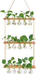 XXXFLOWER Wall Hanging Propagation Station with Wooden Stand 5 Bulb Vase 3 Tiers Planters Wall Terrarium for Home Office Plant Hanger Flower Vases Wall Decor