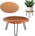 Small Plant Stand, Wood Plant Stool Indoor 10 Inch Plant Riser Wooden Flower Stand Plant Holders Indoor Stand 6.3" Tall Planter Stands for Plants Corner Round Plant Table Outdoor Floor Plant Stand