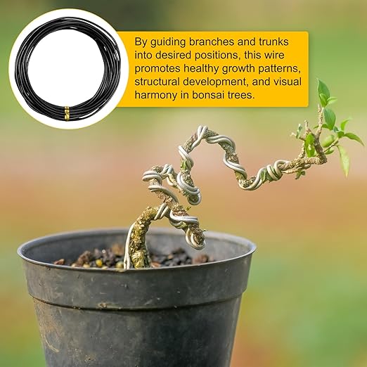 M METERXITY 2-Rolls 2mm Bonsai Training Wire, 32.8 Feet Total Anodized Aluminum Bonsai Wires for Bonsai Tree Shaping/Branches Fixing/Trunk Holding/DIY Crafting [16.4ft Each, Black]