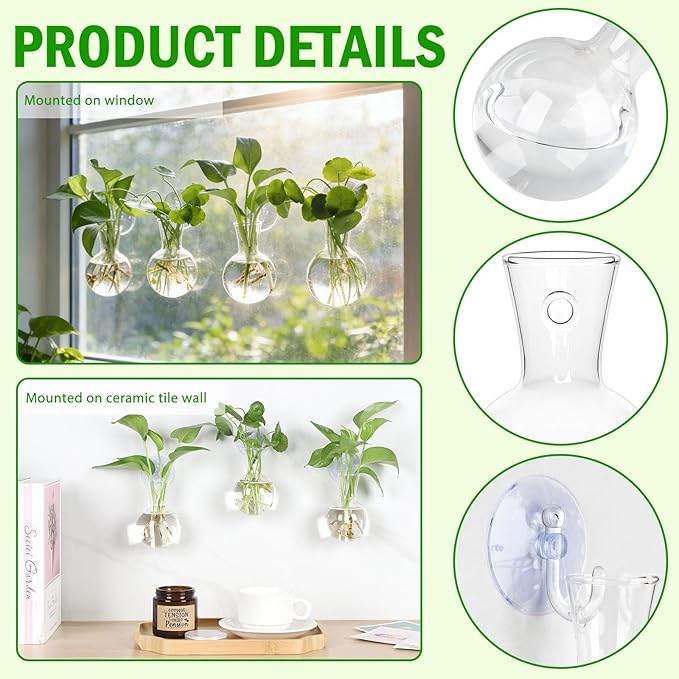Bunmery 6 pcs Window Propagation Stations, Easy to Install Plant Propagation Bulbs with Suckion Cups, No Nails Wall Hanging Planter Propagation Station, Glass Plant Terrarium Vase