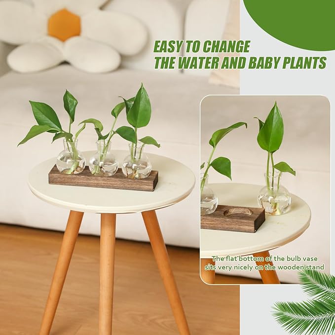 Plant Propagation Station, Plants Terrarium with Wooden Stand Bulb Glass Vase Planter Gift for Plant Lovers Home Office Decor