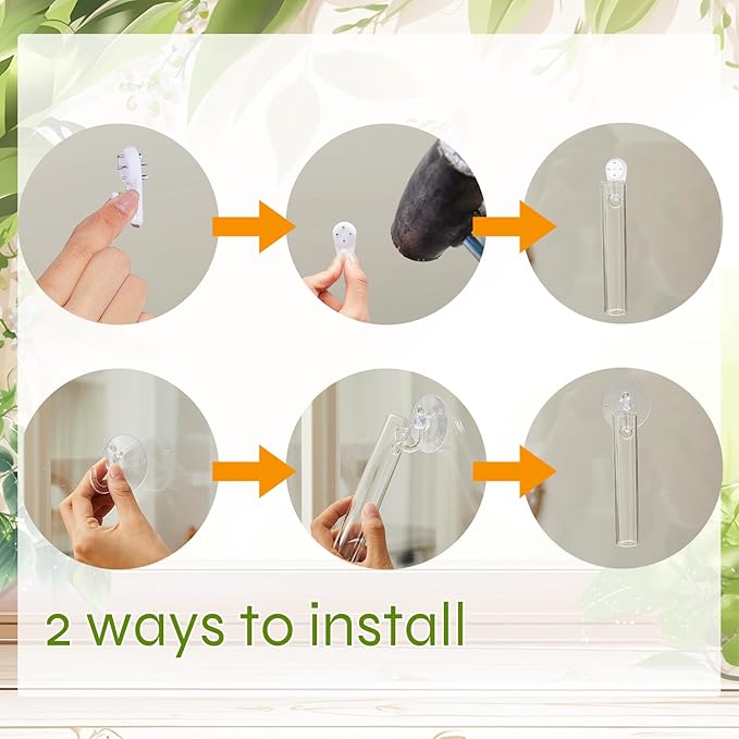 6 Pcs Window Propagation Stations Glass Plant Propagation Tubes with 6 Suction Cups and 6 Seamless Nails Easy to Install Plant Wall Hanging Terrarium Gifts for Plant Lovers
