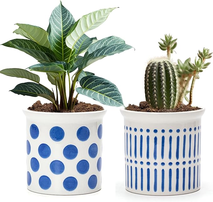 Pots of Indoor Plants 4 Inch Succulents Flower Pots Set of 2 Ceramic Planters Painted Blue Lines and Polka Dots Flower Pots with Drainage Hole for Cactus and Small Houseplants Gifts