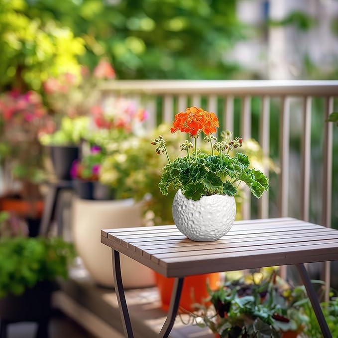 4 Inch Plant Pots - Ceramic Pots for Plants with Drainage Hole, Small Planter for Indoor Outdoor, Unique Succulent Pot, Decorative Modern Round Planter, Desk Decor, Plant Lover Gifts, White