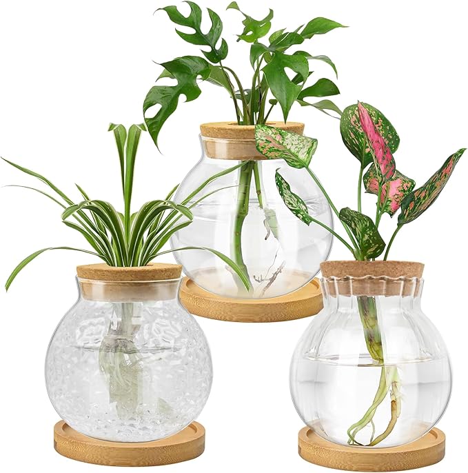 Plant Propagation Station, Water Planting for Plants with Tray & Wooden Saucer, Hydroponics Plants Jars Home Office Desktop Decor, Glass Planters for Indoor Hydroponic Decor