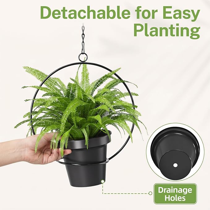 iDavosic.ly Wall Plant Holder Set of 2 for Outdoor with 2 Hanging Planters, Metal Hanger with 2 Hooks, Floating Flower Display Stand for Window, Space Saving & Easy to Assemble