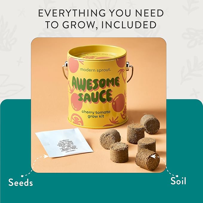 Modern Sprout Complimentary Color Grow Kits (Pack of 4) - Gift for Plant Lovers - Seed Starter Kit - Includes Organic Strawberry Tomato Sunflower & Cactus Seeds - Gardening Gifts that Grows with Love