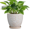MPotTo 6.9 Inch Plant Pot with Drainage Hole and Saucer Ceramic Planter for Indoor Plant Flower Pot for Orchid Succulents Plants White