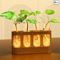 Plant Propagation Station with 9-Speed Adjustable LED Lights, Wooden Stand, 4 Glass Test Tubes for Hydroponic Plants, Unique Gift for Plant Lovers