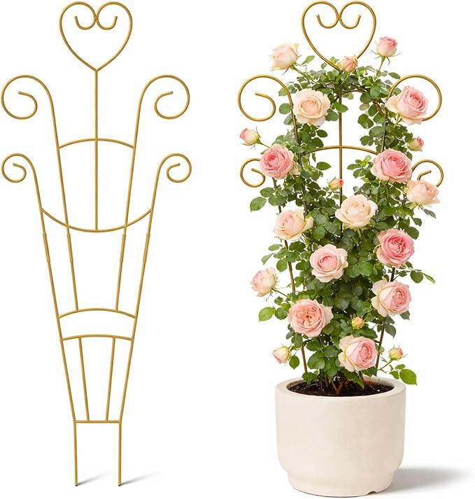 30 Inch Plant Trellis for Climbing Plants Indoor, Outdoor Metal Garden Trellis for Potted Plants, Houseplant Plant Support for Ivy Pothos Monstera Hoya Flower Vine Black Heart (Golden-2pcs)