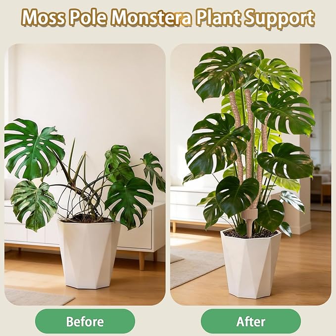 3 Moss Poles in 1, Bendable Monstera Plant Support, 30IN Tall Plant Stakes for Indoor Plants, Coir Pole Plant Support for Climbing Plants, Pothos, Philodendron-1 Pack