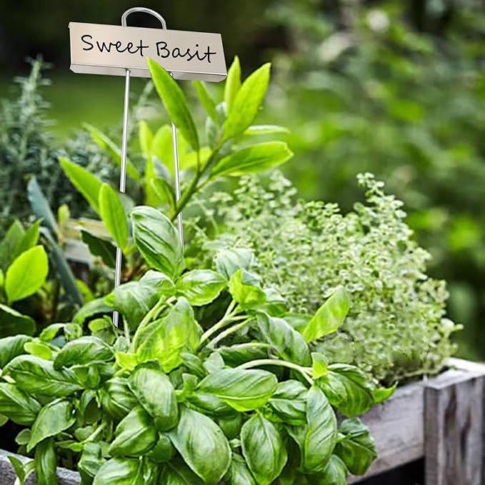 Plant Labels Metal 304 Stainless Steel Garden Plant Markers Weatherproof Garden Stake Tag Plant Tags with Pen for Outdoor Seedling Flower Herb Vegetable Greenhouse(30 Pack) (Stainless Steel)