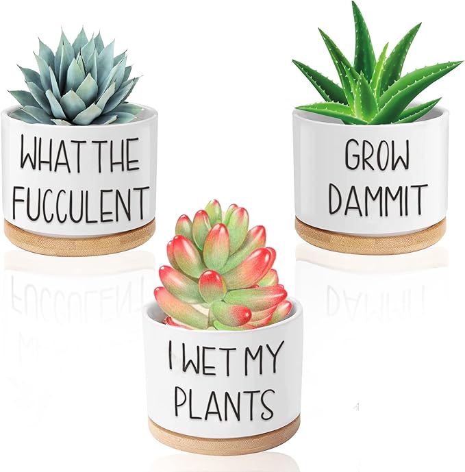 Funny Succulent Pots, 3.15 inch Ceramic Flower Plant Pots with Bamboo Tray, Cute Cactus Planters with Drainage Hole, Birthday Gifts for Women, Plant Lover Gifts, Pack of 3 - Plants Not Included