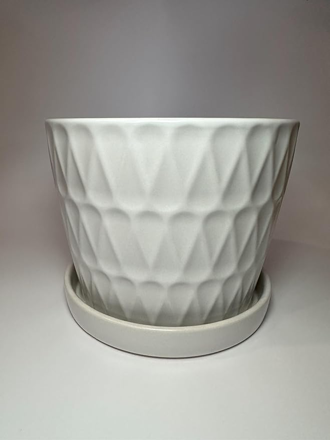 Garden & Home Matte White 8 inch Indoor Ceramic Planter with an Attached Saucer and Drainage Hole. Perfect Plant Pot for All House Plants, Herbs, and Flowers