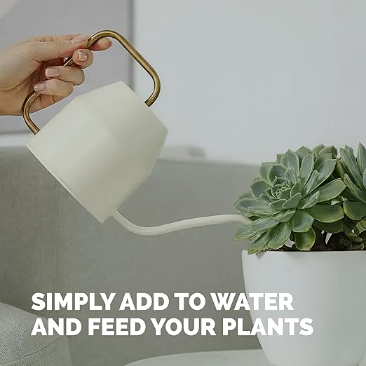 Succulent Fertilizer – Liquid Plant Food for Compact Growth, Vibrant Color & Stronger Root Development, 32 oz