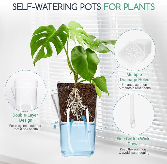12 Pack 2" Small Self-Watering Planter Pots - Mini Clear Seed Starter Pots with Visible Water Level, Plastic Nursery Pots for Succulents, Herbs, and Propagation - Includes 12 Plant Labels