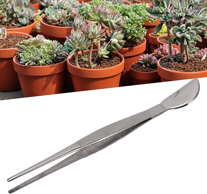 TOPINCN Bonsai Tweezers, Stainless Steel Long Plant Tweezers with Moon Spatula Head, Home Garden Potted Loosening Soil Plan Grass (Straight)