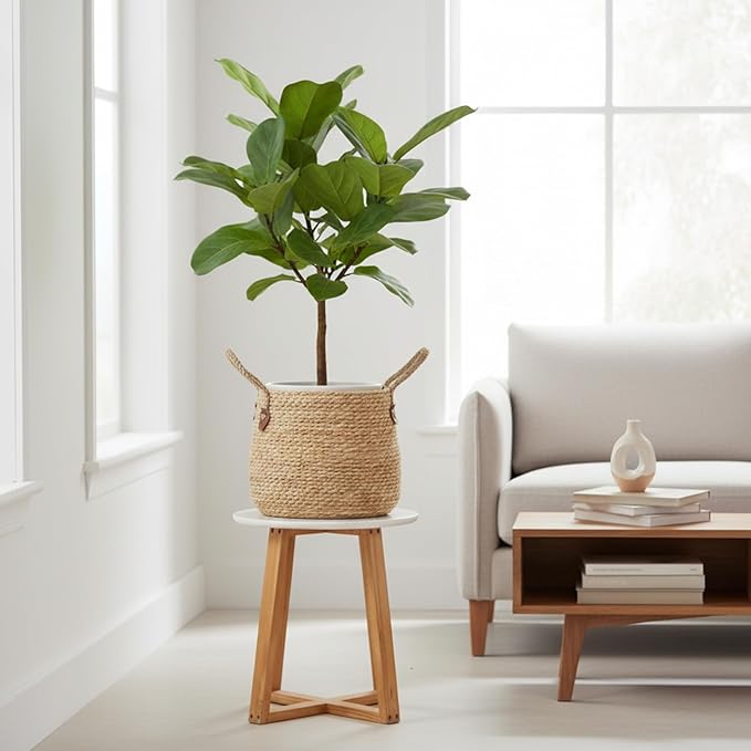 Seagrass Flower Pot, Woven Planter Basket for Indoor Plants, Decorative Plant Pot with Plastic Liner, Decorative Basket Planter for Home Decor (23 cm)