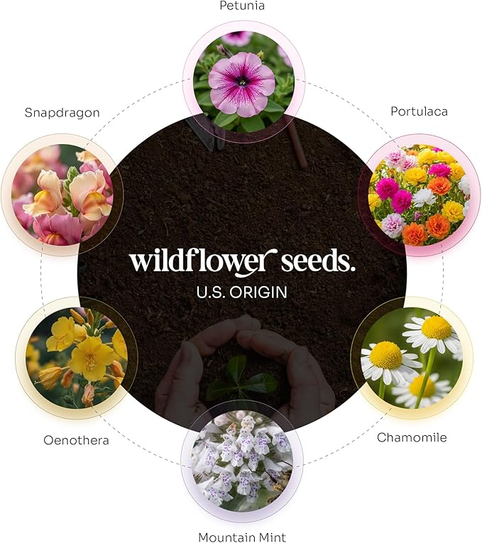 Set of 48 Pink Butterfly Seed Paper – Writable & Plantable Wildflower with Envelopes & Planting Guides, Mom's Gift for Mother’s Day, Use for Wedding, Baby Shower, Party Favors & Easter Decorations