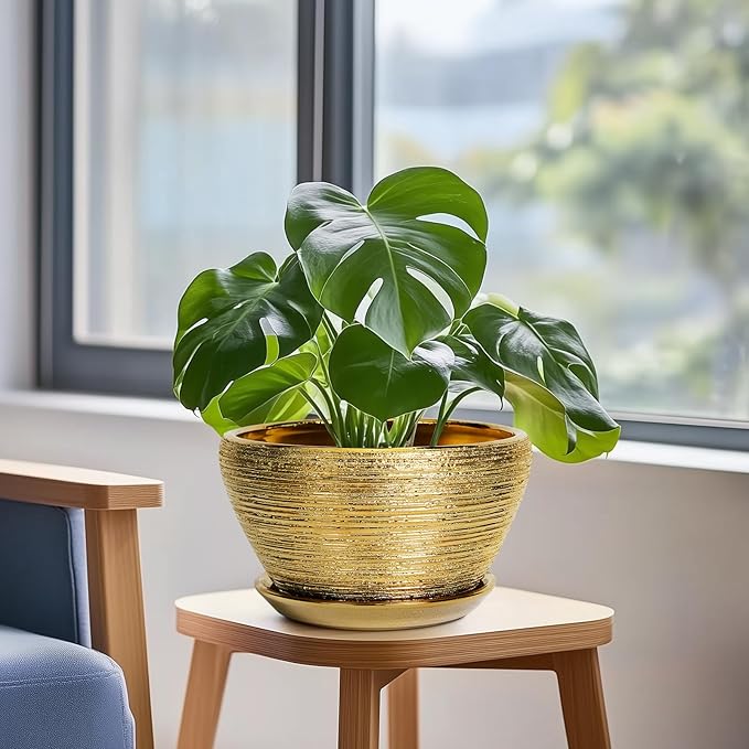 Ceramicfor Ceramic Plant Pot Indoor - 9 Inch Planters for Outdoor Plants Decorative Plant Pot with Drainage Hole and Saucer Round Planter Modern Flower Pot Decorative for House Decor Gold