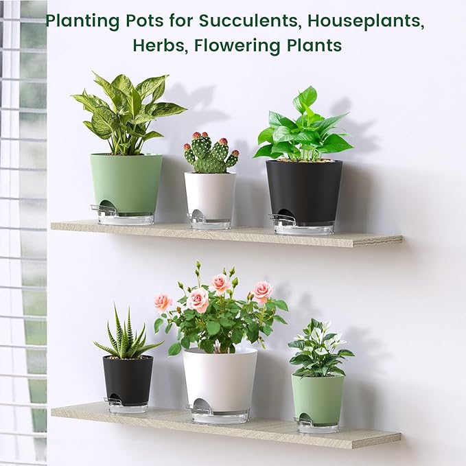 Meowell 6 inch Self Watering Pots for Indoor Outdoor Plants, 3 Pack Flower Plant Pots with Drainage Holes and Clear Reservoirs, Visible Water Level, Plastic Planters with Wicking Rope, White