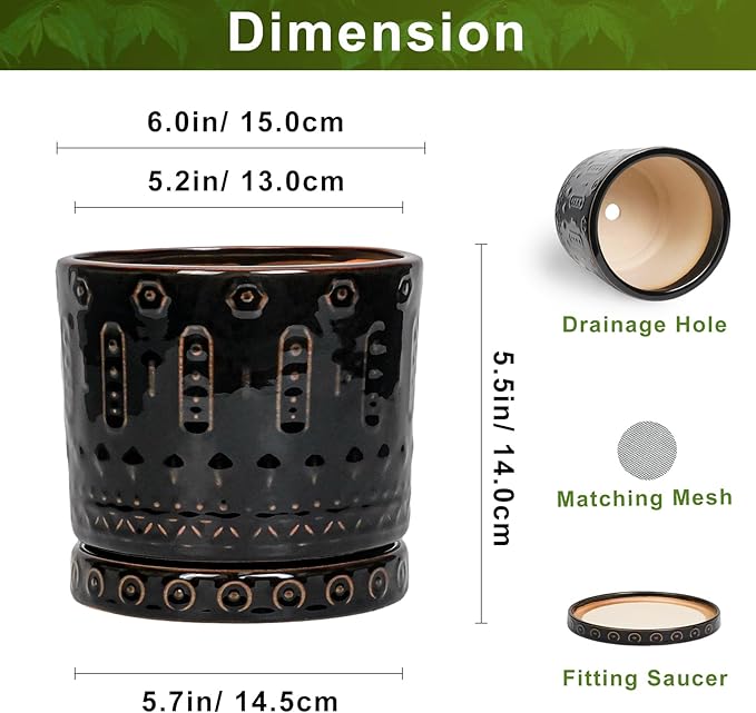 Eightpot 6 Inch Plant Pot, Ceramic Pots for Plants with Drainage Hole and Saucer, Round Planter for Indoor Outdoor Plants, Modern Decorative Flower Pots, Bedroom Decor, Gifts for Plant Lovers, Black