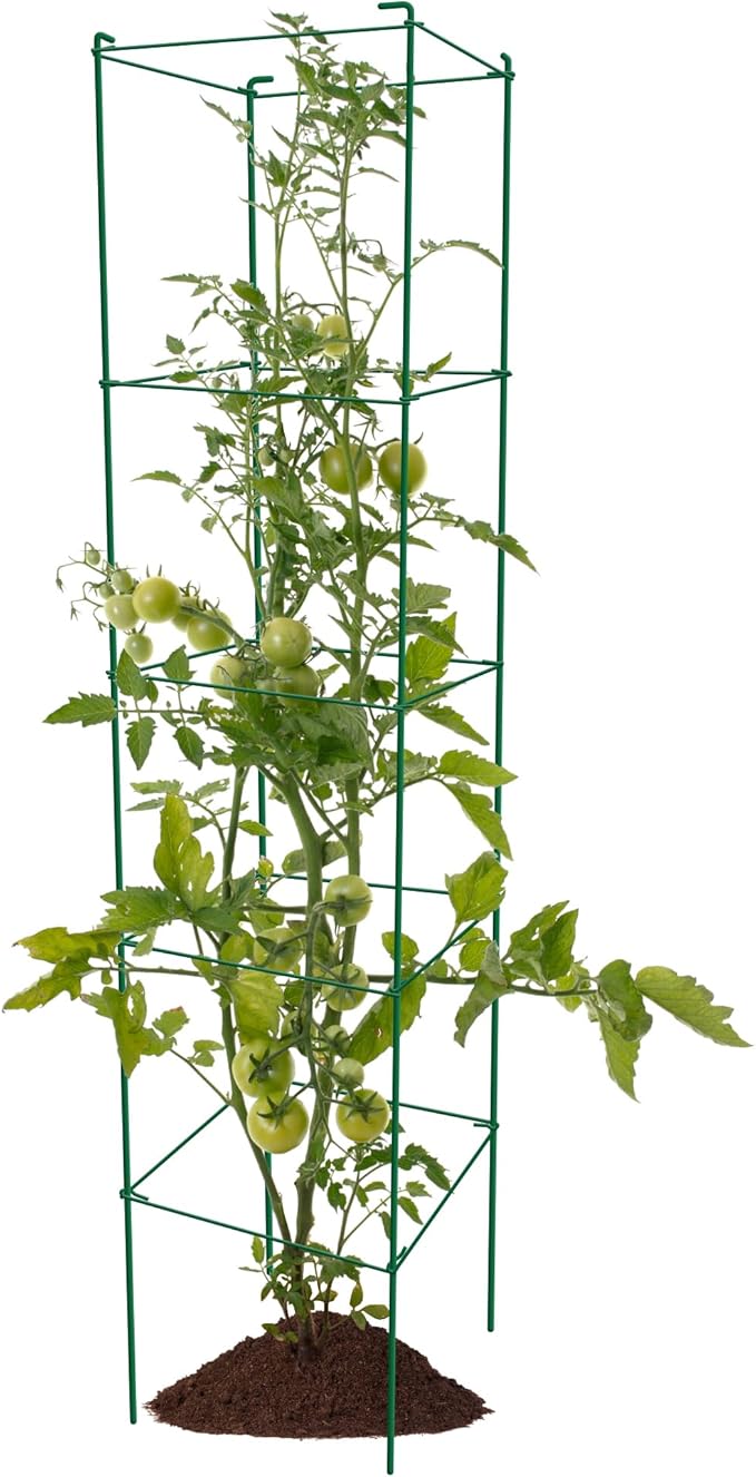 Thealyn Tomato Cages 6 Packs 57 Inches (H) Plant Stand with 164 Feet Twist Ties, Heavy Duty Garden Plants Support for Tomatoes, Cucumber, and Other Climbing Plants (Green)