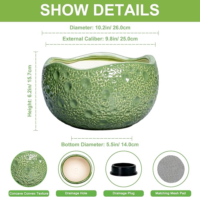 Ceramic Pots for Plants - 10 Inch Plant Pot for Indoor Outdoor, Round Bonsai Pots with Drainage Hole, Modern Planter, Decorative Flower Pot, Living Room Decor, Gifts for Plant Lovers, Green