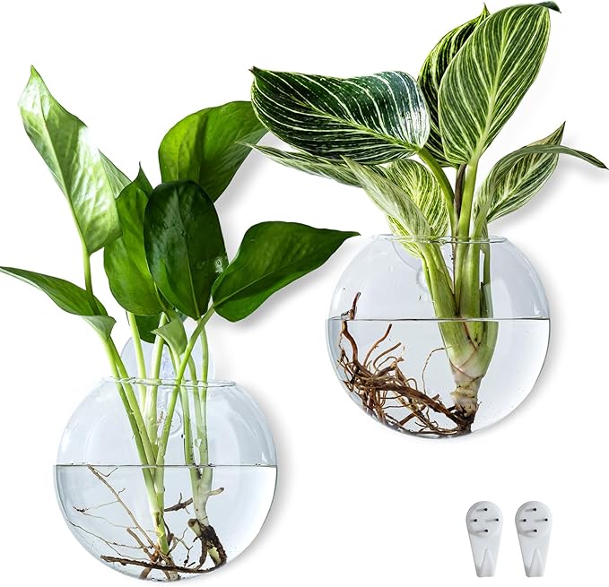Wall Hanging Planter Propagation Station, Oblate Glass Flower Vase for Propagation, Wall Planter for Indoor Plants, Modern Home Office Corridor Bathroom Decor (2)