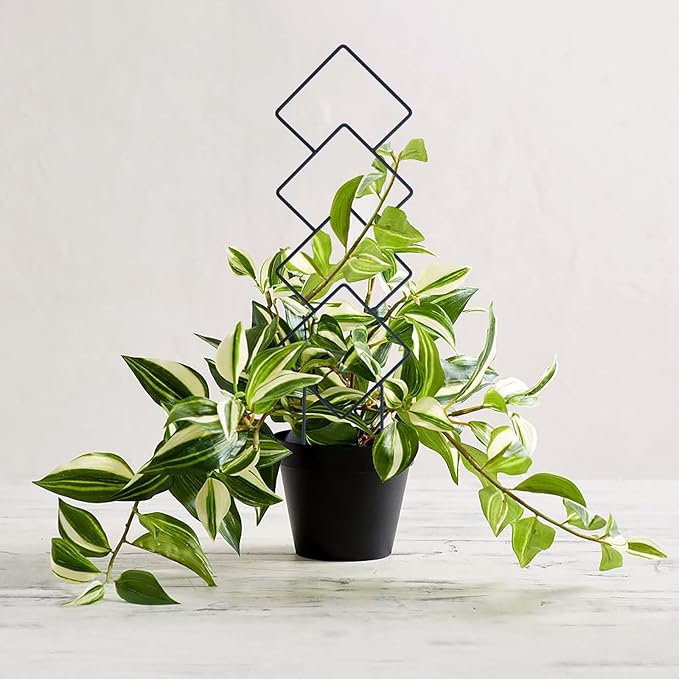 Wellsign Indoor Plant Trellis for Climbing Plants, 16inch Small Garden Metal Trellis for Potted Plants Outdoor with Different Patterns for Vine Ivy Flower Plant Support 4 Pack