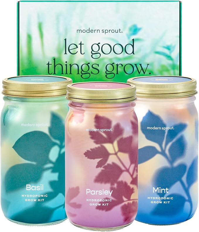 Modern Sprout Garden Jar Gift Pack - Self-Watering Hydroponics Growing System Kit with Organic Herb Seeds - Seed Starter Kit for Indoor Herb Garden - Home Decor & Gifting - Basil, Parsley & Mint