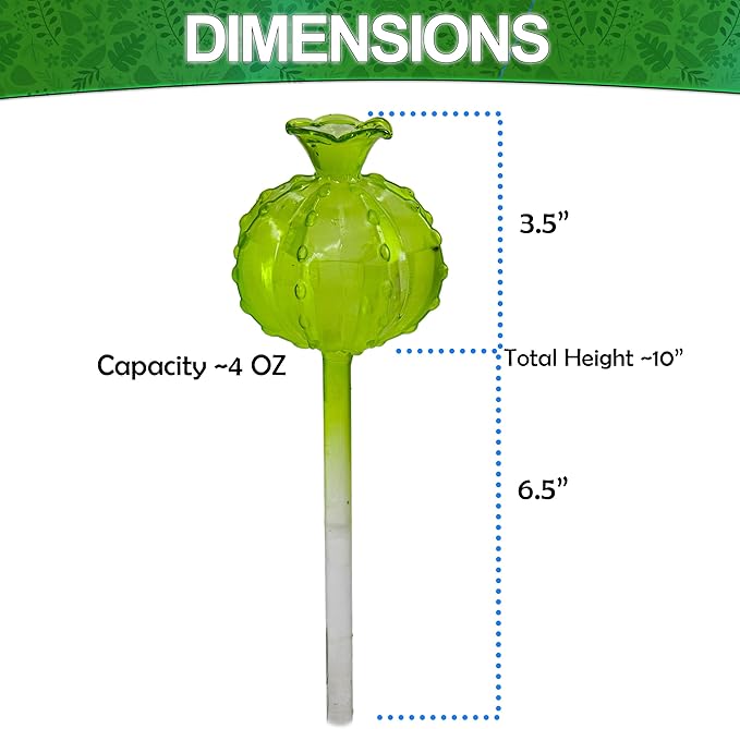 Aqua Glass Plant Watering Globes Automatic Self Watering Plant Insert Spike Orbs - Indoor Outdoor Plant Drip Irrigation - For Flowers, Herbs, Houseplants (Cactus Ball Globes, 4, Units)
