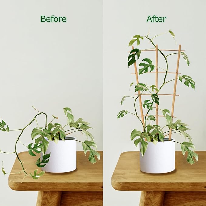 Cambaverd Plant Trellis Indoor 6 Pack Bamboo Trellis with Twist Ties, 16in Fan-Shaped Plant Trellises for Potted Plants Hoya Vines Monstera Houseplants