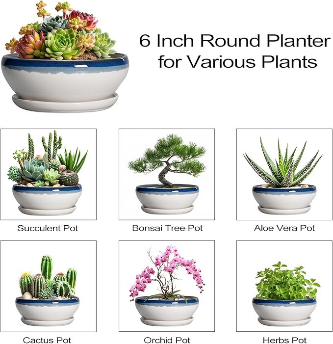 SQOWL Succulent Planters 6 Inch - Ceramic Bonsai Pots with Drainage Hole and Saucer, Round Shallow Planter for Indoor Plants, Ceramic Cactus Pot, Apartment Decor, Gifts for Women, Blue Off-White