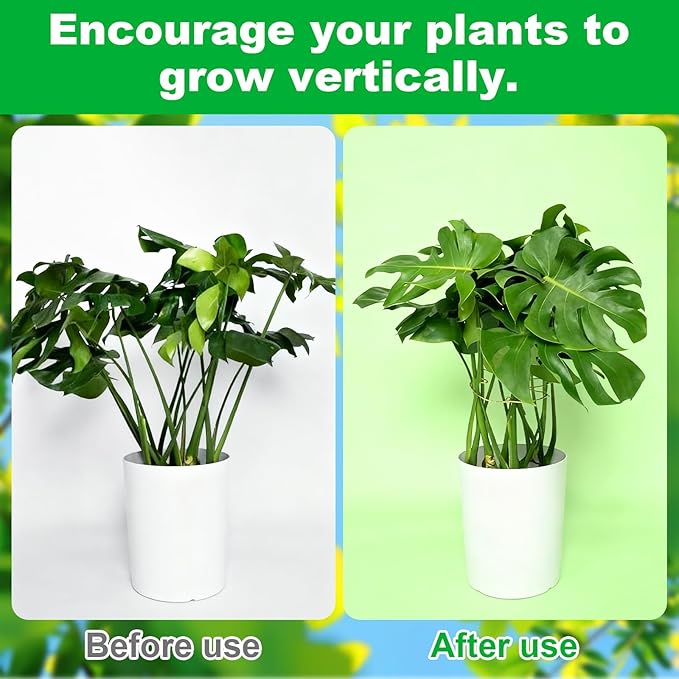 STARVAST 10PCS Durable Monstera Plant Stem Support Stake, Plant Support Kit for Indoor Botanicals, Cactus Stabilizers, and Turtle Shell Climbers - Ideal for Plant Enthusiasts(Gold)