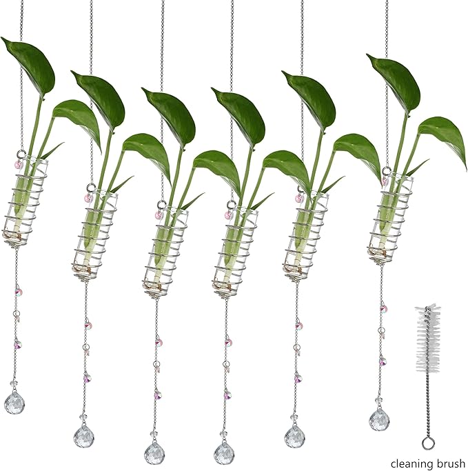 H&D HYALINE & DORA 6 Pcs Hanging Plant Propagation Station with Crystal Ball Prisms Suncatcher and Cleaning Brush, Glass Wall Planters for Indoor Plants Hydroponics Gifts for Plant Lovers(Silver)