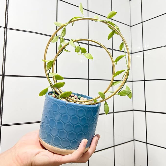 YOHSNOR Hoya Trellis for Indoor Plants - Set of 3 Stylish Metal Plant Supports for Climbing Houseplants - Durable Design for Small Potted Plants with Increased Height Support